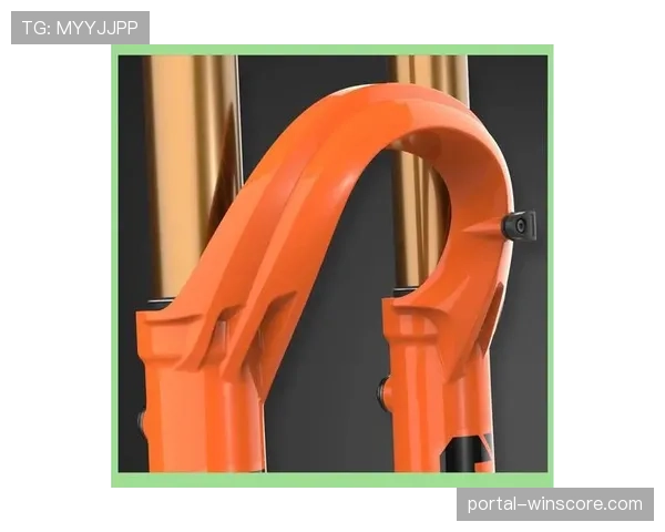 知识产权纠纷：某车队指控竞争对手非法复制其专利避震前叉设计。